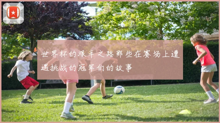 世界杯的艰辛之路那些在赛场上遭遇挑战的冠军们的故事